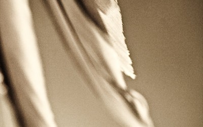 La falsa sensación de libertad