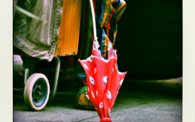 Enseñate ignorancia