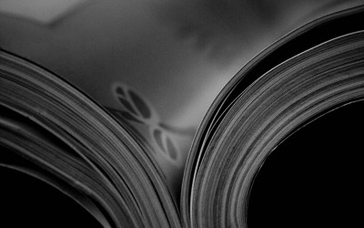 +perspectiva: It will fly?