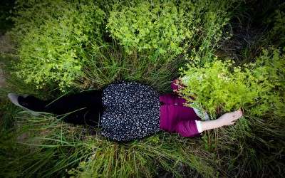 Cómo hacer que la confianza permanezca