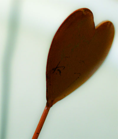+perspectiva leadership: Liderar con el corazón