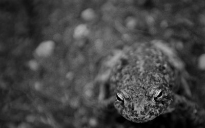 ¿Incómod@ con el cambio?