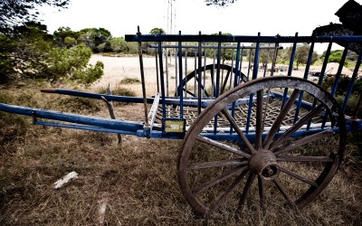 ¿Estás tirando del carro?