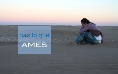 Haz lo que ames (historias)