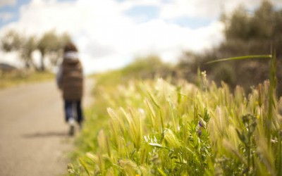 Cómo el amor resuelve tus problemas