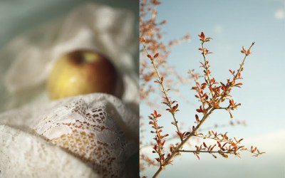 5 ideas para simplificar tu vida