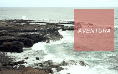 La razón por la que no haces lo que amas (todavía)