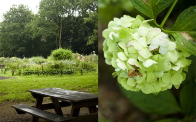 Cómo hacer crecer tu marca de forma «natural»