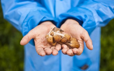 Cuando algo deja de ser guay