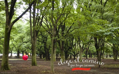 Que puedas no significa que debas