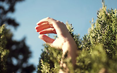 ¿Está el miedo frenándote a hacer lo que amas?