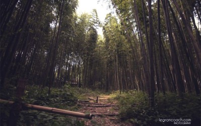 Cómo empezar algo sin experiencia