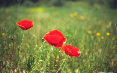 Cómo acabar lo que empiezas