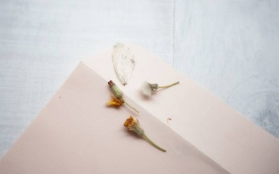 Cuando descubres aquello que tanto habías buscado