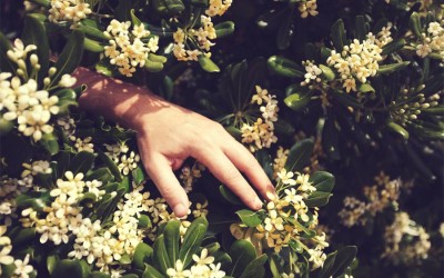 El aburrimiento: el gran amigo de la felicidad