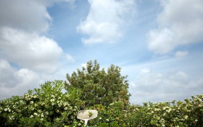 El beneficio de «no saber»