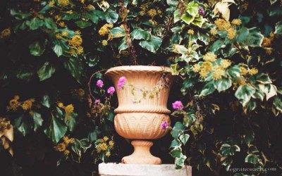 ¿Está la indecisión alejándote de tus sueños?