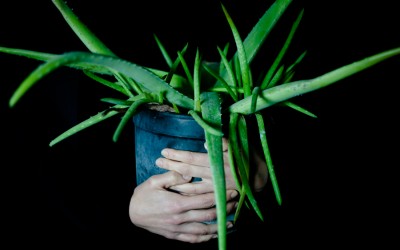 Está en nuestra naturaleza