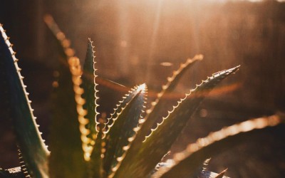 3 razones por las que no dejas de pensar negativamente