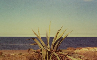 ¿Esperamos mucho de los demás?