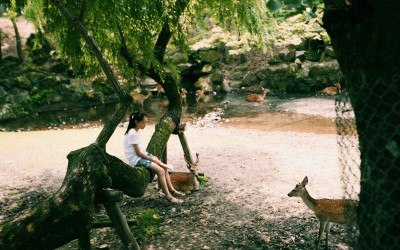 La paciencia no es ninguna virtud