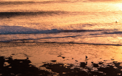 Busqué un propósito, no un trabajo