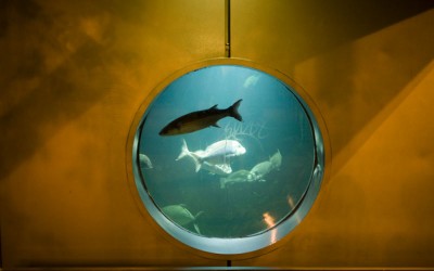 ¿Qué es la inteligencia?