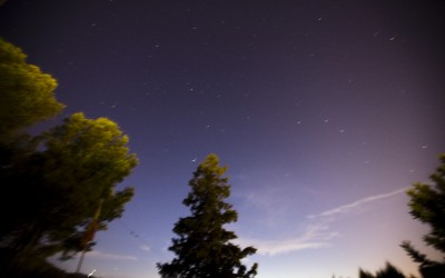 La naturaleza no es el «medio ambiente»