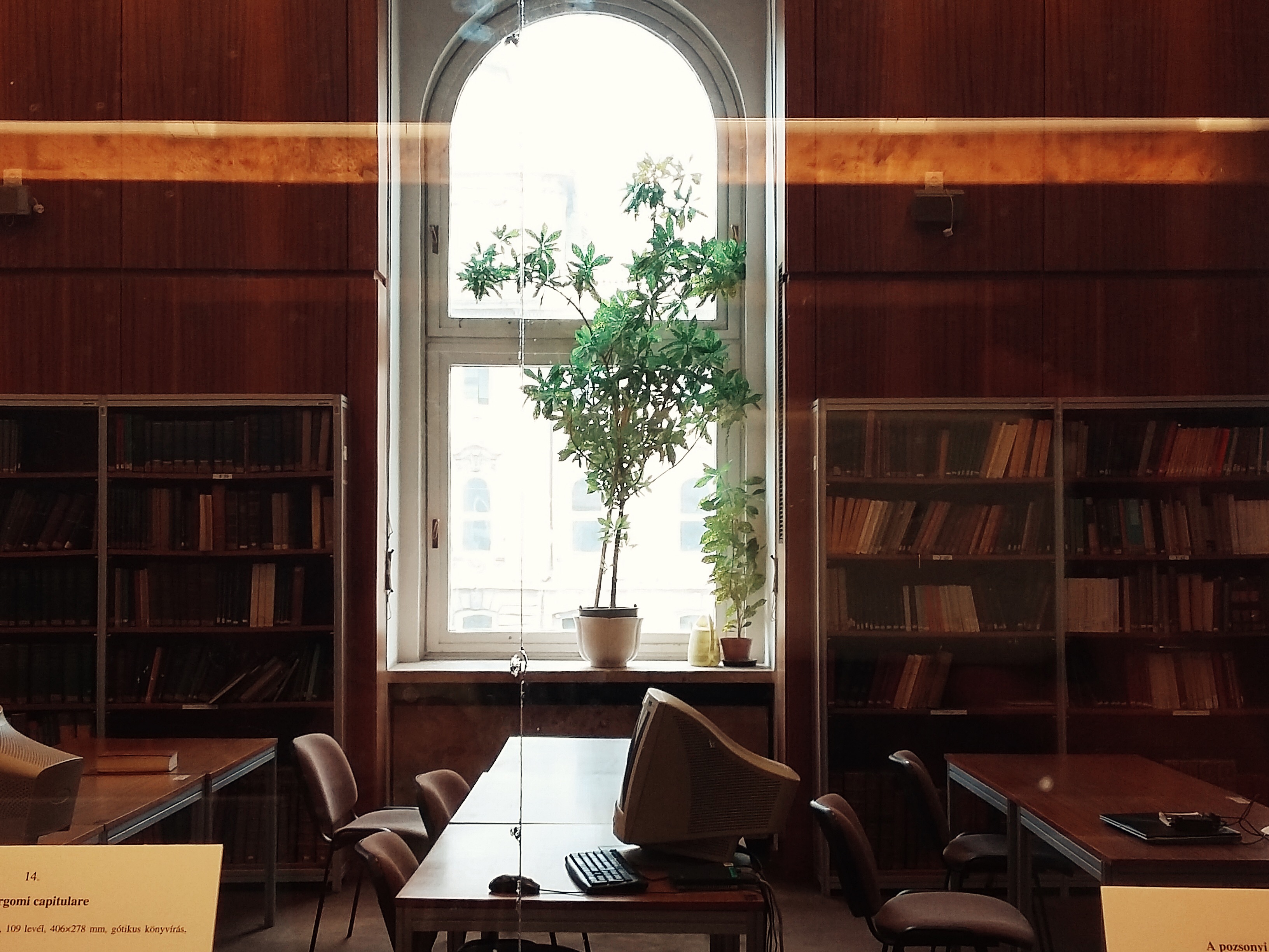 Processed with VSCOcam with kk1 preset